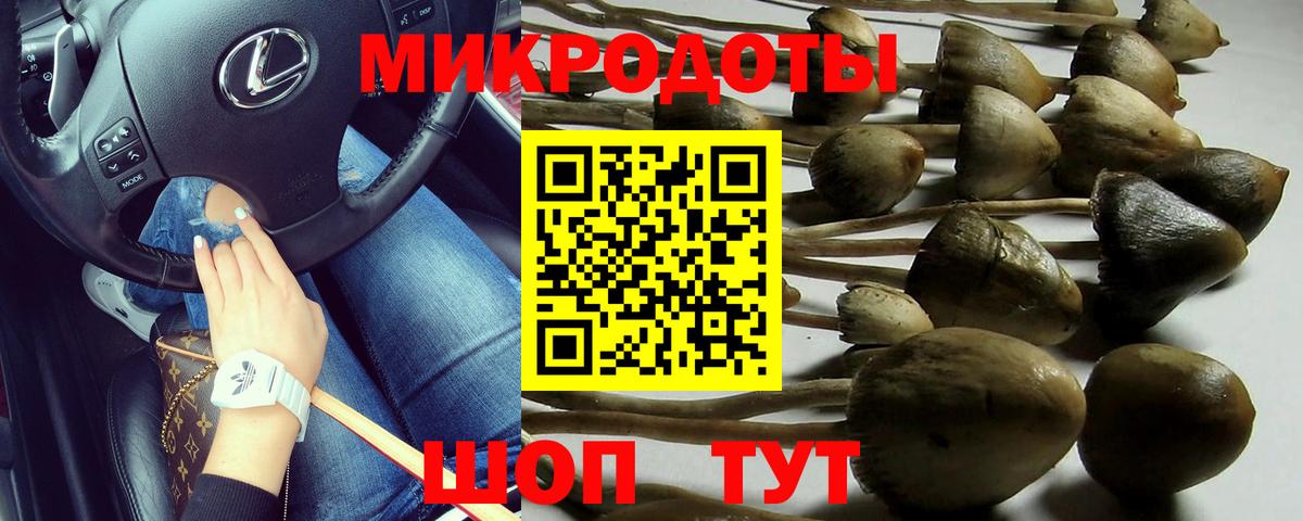 Благодарный  Галлюциногенные грибы мухоморы  Вход с VPN  Галлюциногенные грибы мицелий 